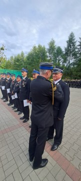 Zdjęcie - 