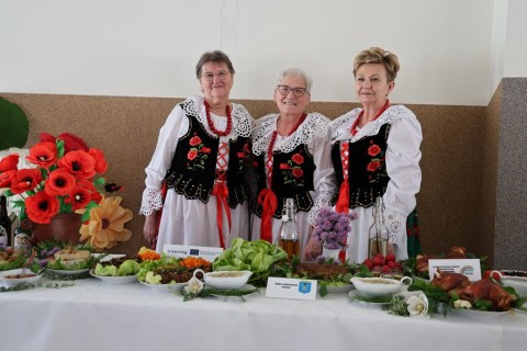Zdjęcie - 