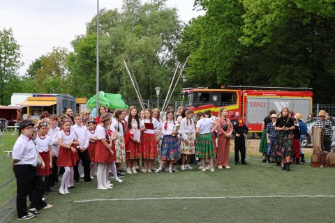 Zdjęcie - 