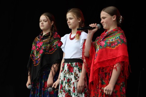Zdjęcie - 