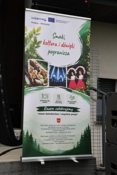 Zdjęcie - 