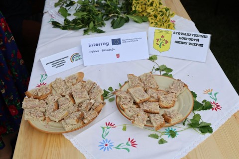 Zdjęcie - 