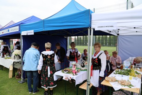 Zdjęcie - 