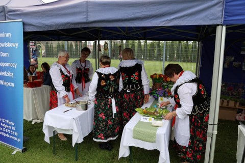 Zdjęcie - 