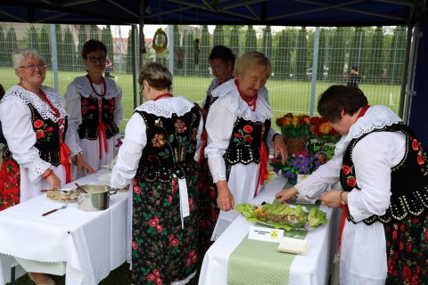 Zdjęcie - 