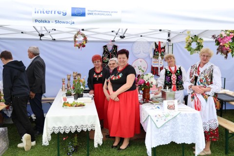 Zdjęcie - 
