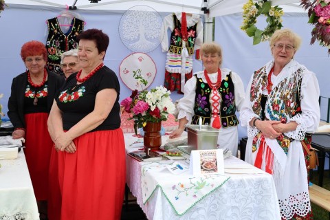 Zdjęcie - 