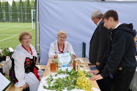 Zdjęcie - 
