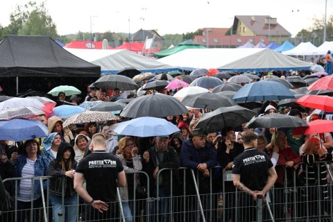 Zdjęcie - 