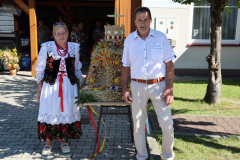 Zdjęcie - 