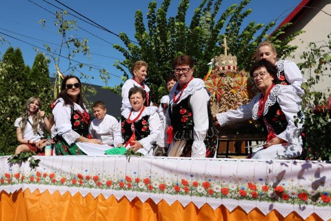 Zdjęcie - 