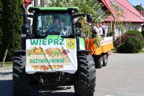 Zdjęcie - 
