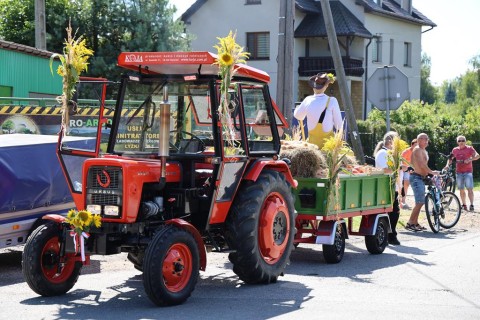 Zdjęcie - 