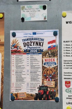 Zdjęcie - 