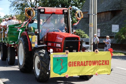Zdjęcie - 