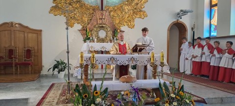 Zdjęcie - 