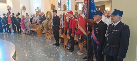 Zdjęcie - 