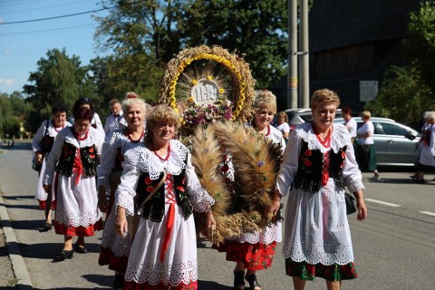Zdjęcie - 