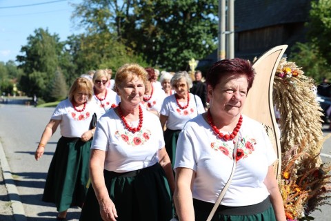 Zdjęcie - 