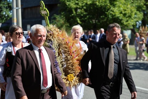 Zdjęcie - 