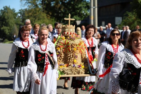 Zdjęcie - 