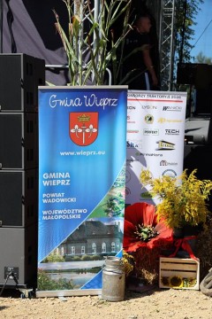 Zdjęcie - 