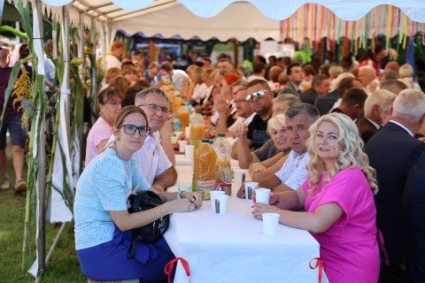 Zdjęcie - 