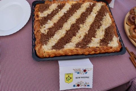 Zdjęcie - 