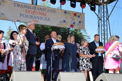 Zdjęcie - 