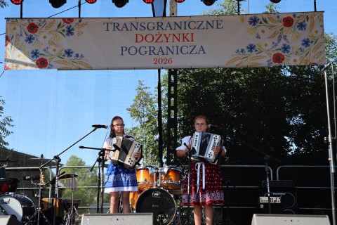 Zdjęcie - 