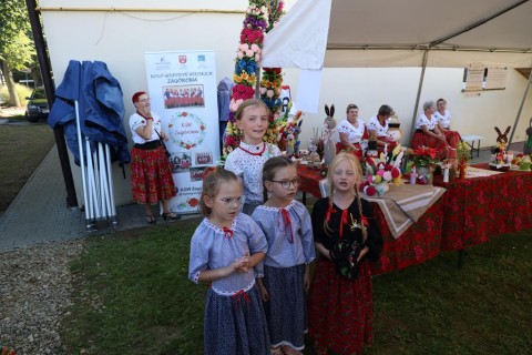 Zdjęcie - 