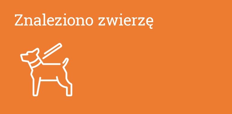 Informacja o wyłapanych zwierzętach
